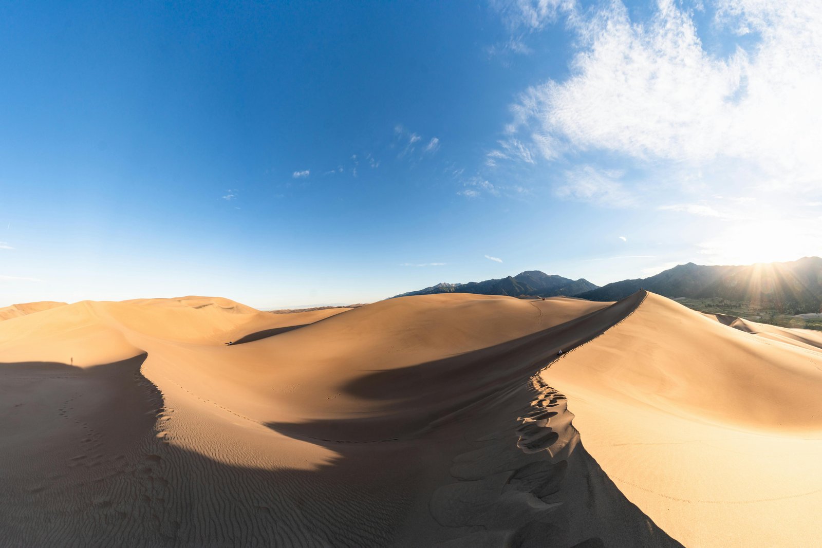 Sand dunes panorama